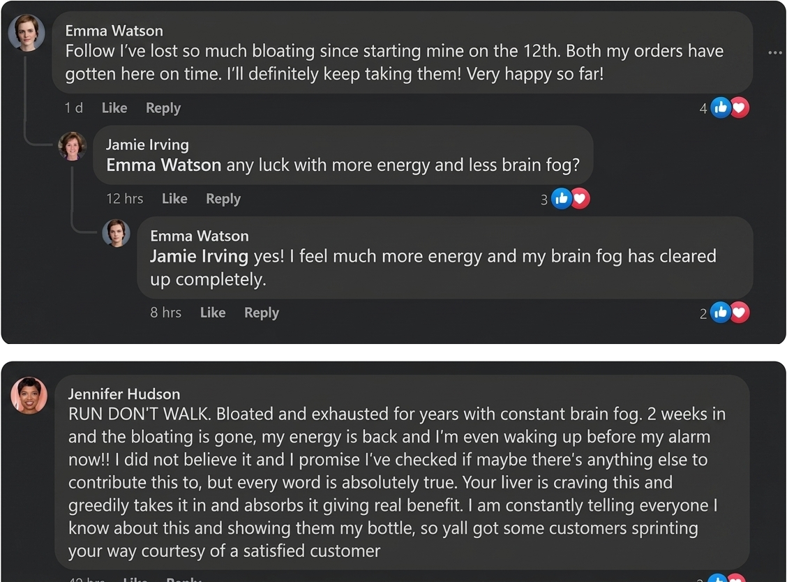 Customer testimonial